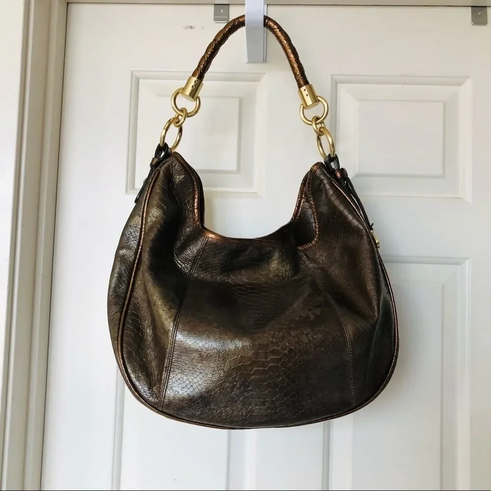 Brahmin new dust